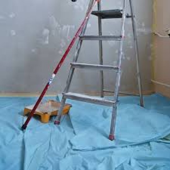 Boya Kalın Zemin Örtüsü